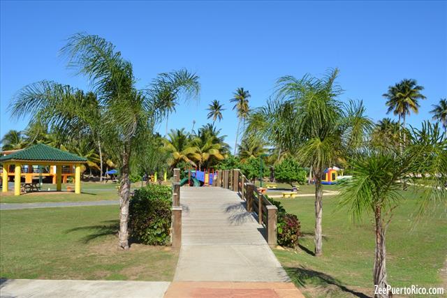 Lugares Para Caminar En Puerto Rico